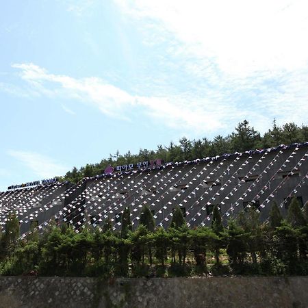 ドライブ イン ホテル ティアモ 抱川市 エクステリア 写真